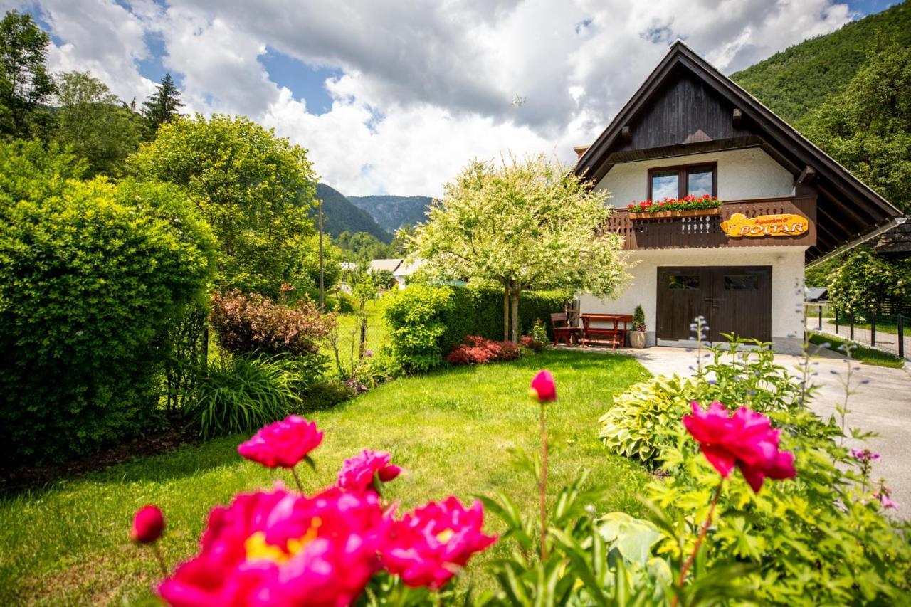Apartma Boltar Bohinj Bagian luar foto